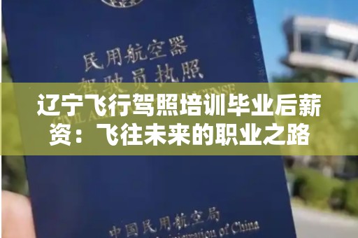 辽宁飞行驾照培训毕业后薪资：飞往未来的职业之路