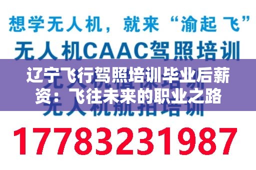 辽宁飞行驾照培训毕业后薪资：飞往未来的职业之路