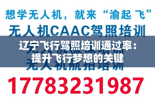 辽宁飞行驾照培训通过率：提升飞行梦想的关键