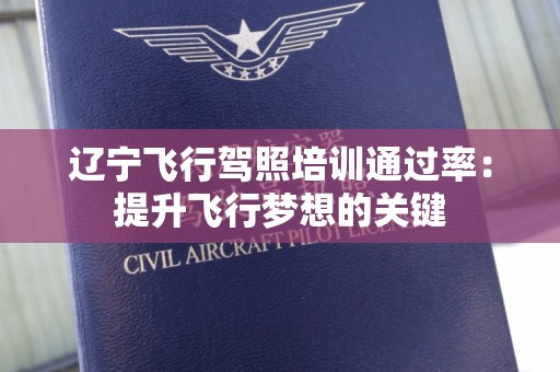 辽宁飞行驾照培训通过率：提升飞行梦想的关键