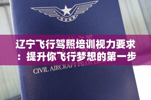 辽宁飞行驾照培训视力要求：提升你飞行梦想的第一步