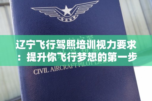 辽宁飞行驾照培训视力要求：提升你飞行梦想的第一步