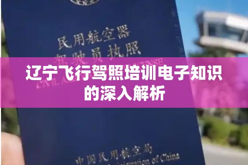 辽宁飞行驾照培训电子知识的深入解析
