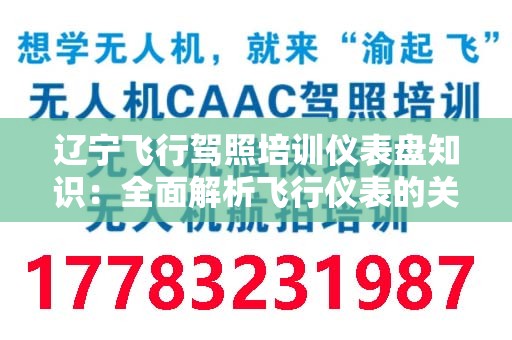 辽宁飞行驾照培训仪表盘知识：全面解析飞行仪表的关键要素