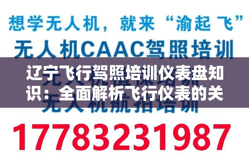 辽宁飞行驾照培训仪表盘知识：全面解析飞行仪表的关键要素