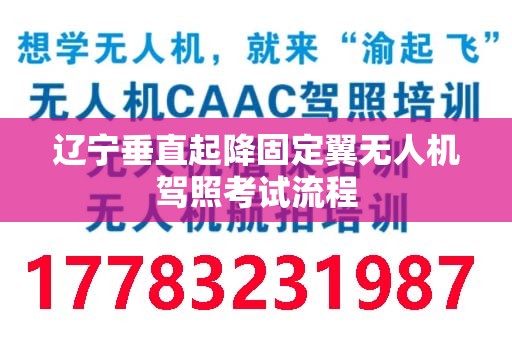 辽宁垂直起降固定翼无人机驾照考试流程
