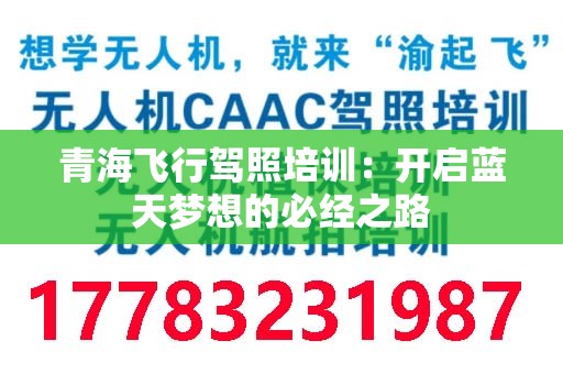 青海飞行驾照培训：开启蓝天梦想的必经之路