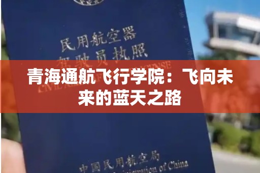 青海通航飞行学院：飞向未来的蓝天之路