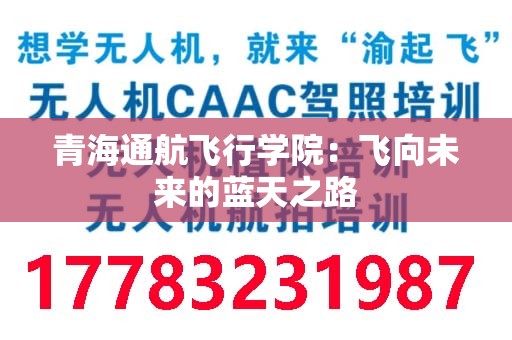 青海通航飞行学院：飞向未来的蓝天之路