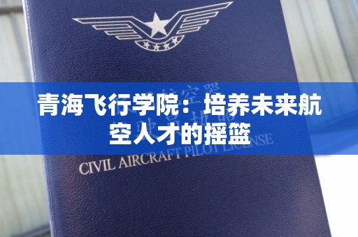 青海飞行学院：培养未来航空人才的摇篮