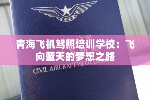 青海飞机驾照培训学校：飞向蓝天的梦想之路