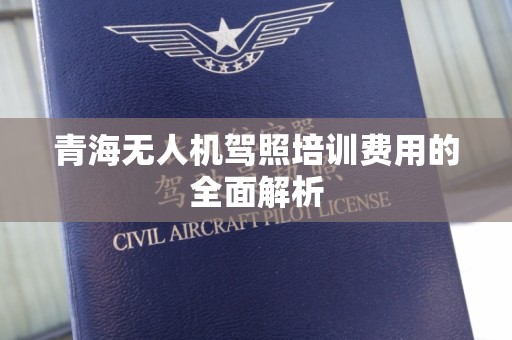 青海无人机驾照培训费用的全面解析