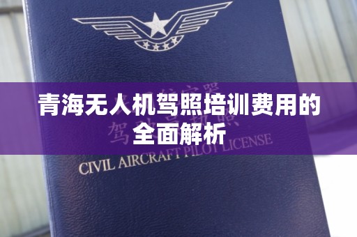 青海无人机驾照培训费用的全面解析