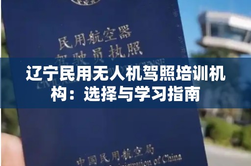 辽宁民用无人机驾照培训机构：选择与学习指南