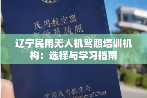 辽宁民用无人机驾照培训机构：选择与学习指南