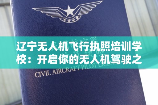 辽宁无人机飞行执照培训学校：开启你的无人机驾驶之旅