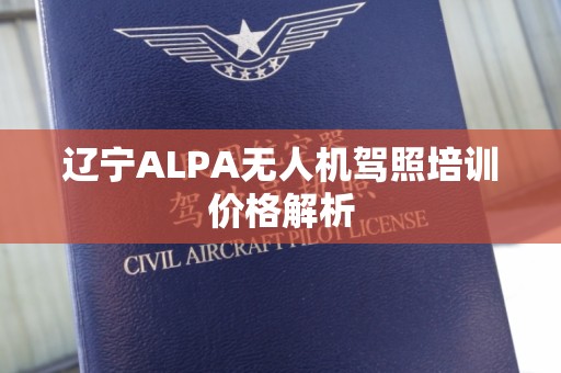 辽宁ALPA无人机驾照培训价格解析