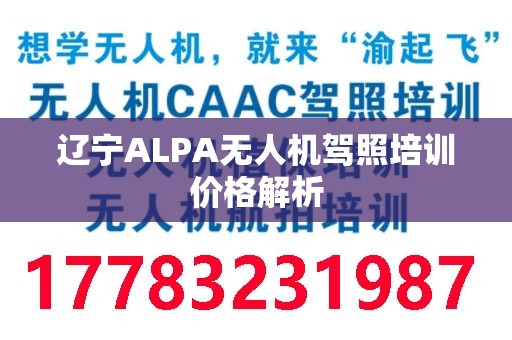 辽宁ALPA无人机驾照培训价格解析
