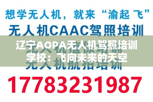 辽宁AOPA无人机驾照培训学校：飞向未来的天空