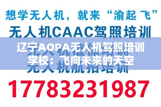 辽宁AOPA无人机驾照培训学校：飞向未来的天空