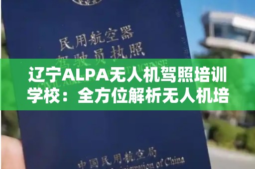 辽宁ALPA无人机驾照培训学校：全方位解析无人机培训的重要性与优势