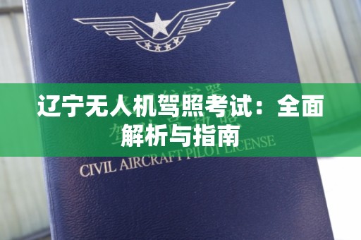 辽宁无人机驾照考试：全面解析与指南