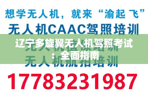 辽宁多旋翼无人机驾照考试：全面指南