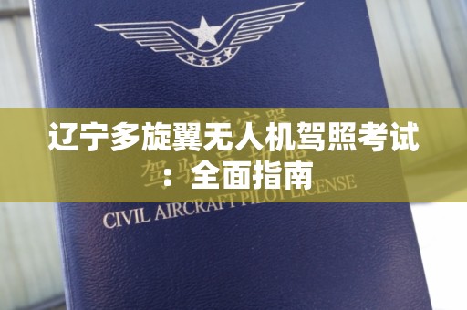 辽宁多旋翼无人机驾照考试：全面指南