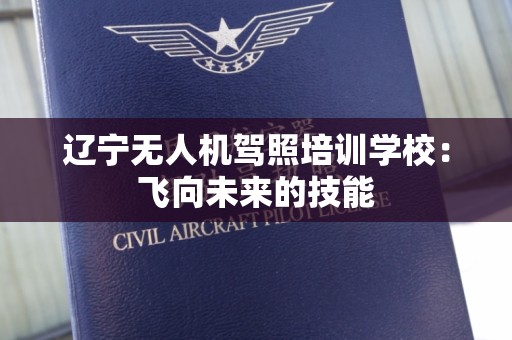 辽宁无人机驾照培训学校：飞向未来的技能