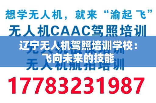 辽宁无人机驾照培训学校：飞向未来的技能