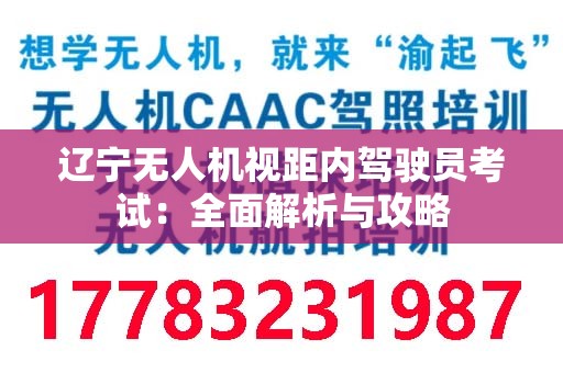 辽宁无人机视距内驾驶员考试：全面解析与攻略