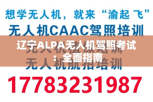 辽宁ALPA无人机驾照考试：全面指南