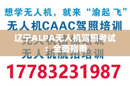辽宁ALPA无人机驾照考试：全面指南