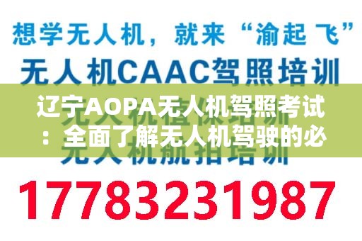 辽宁AOPA无人机驾照考试：全面了解无人机驾驶的必要性与挑战