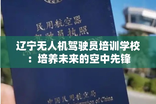 辽宁无人机驾驶员培训学校：培养未来的空中先锋
