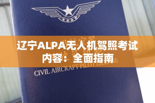辽宁ALPA无人机驾照考试内容：全面指南
