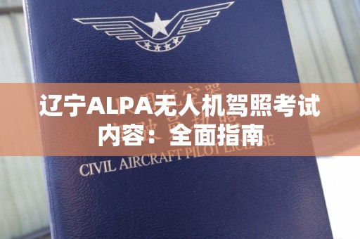 辽宁ALPA无人机驾照考试内容：全面指南