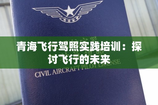 青海飞行驾照实践培训：探讨飞行的未来