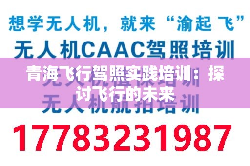 青海飞行驾照实践培训：探讨飞行的未来