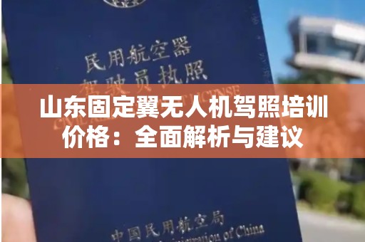 山东固定翼无人机驾照培训价格：全面解析与建议