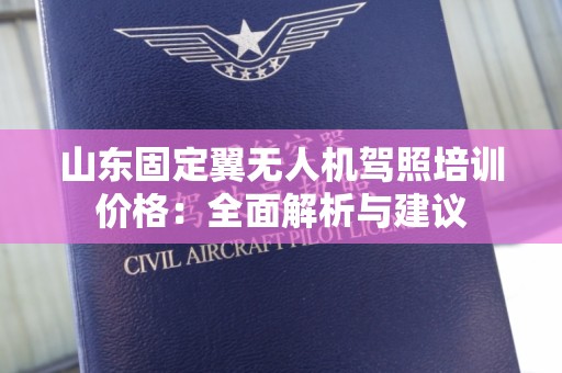 山东固定翼无人机驾照培训价格：全面解析与建议