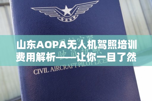 山东AOPA无人机驾照培训费用解析——让你一目了然
