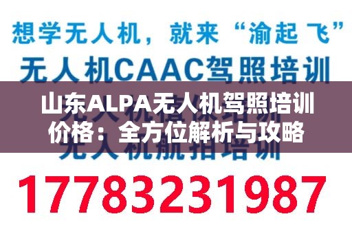 山东ALPA无人机驾照培训价格：全方位解析与攻略