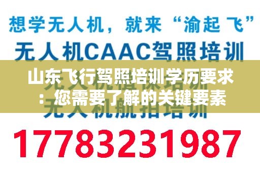 山东飞行驾照培训学历要求：您需要了解的关键要素