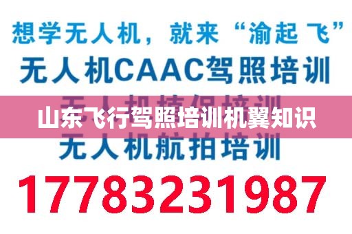 山东飞行驾照培训机翼知识