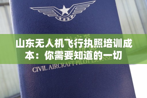 山东无人机飞行执照培训成本：你需要知道的一切