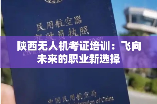 陕西无人机考证培训：飞向未来的职业新选择