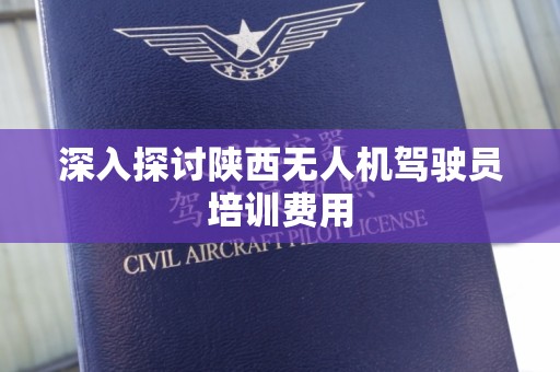 深入探讨陕西无人机驾驶员培训费用