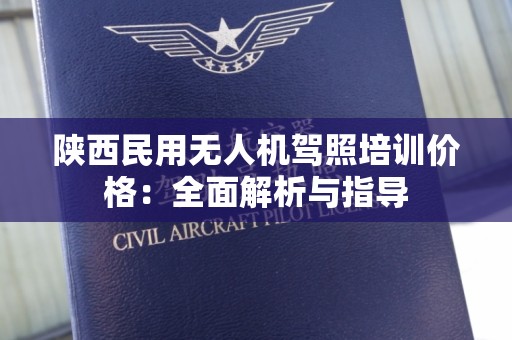 陕西民用无人机驾照培训价格：全面解析与指导