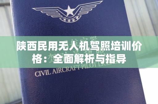 陕西民用无人机驾照培训价格：全面解析与指导